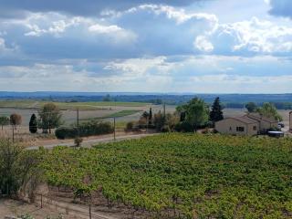 Le Clos Saint Georges - 1
