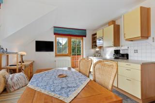 Haus Rosenheim - Ramsau am Dachstein - 4