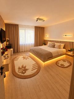 Vi-la Sighisoara - 4
