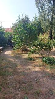 Pension zum Hollerbusch - 5