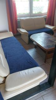 Pension zum Hollerbusch - 3