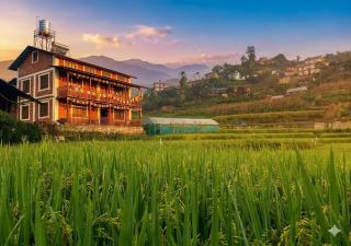 ChinduGo Eco-Retreat and Wellness Homestay - 7
