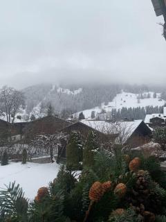La Promenade Gstaad - 8