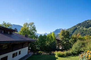 La Promenade Gstaad - 5