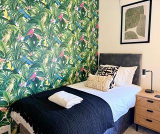 Cosy Peak District Dog Friendly Home in Matlock - 3