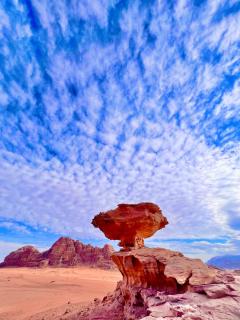 Desert Diamond Suites & Jeep Tours - 8