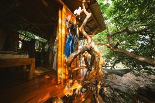 Treehouse Upper Level Near Pier Premium Queen - 1