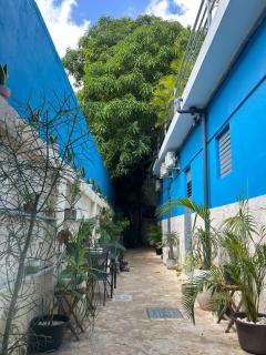 Casa Azul Colonial - 9