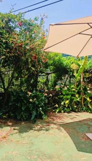 Apartamento Rural San Jorge Bajo - 5