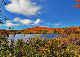 Best Western Saranac Lake - 3