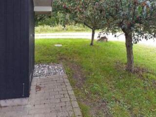 4 star holiday home in Asnæs - 5