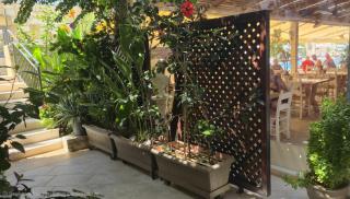 Isida Hotel Agia Marina - 5