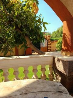 Sakara view - 2