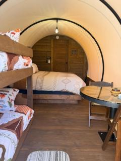 Hearthstone Conestoga Covered Wagon at Cherrywood Farm - 9