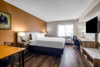 Days Inn by Wyndham Leamington - 3
