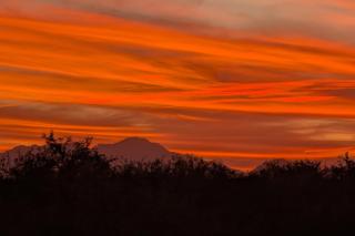 Tucson Extended Stay Overlooking Kitt Peak - 8