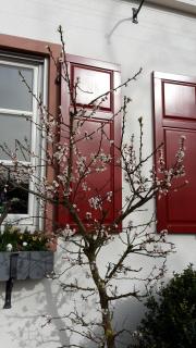 Hotel Mainblick Garni - 2