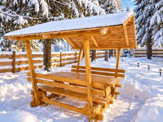 Urige Waldbienenhütte - 5