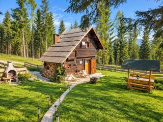 Urige Waldbienenhütte - 2