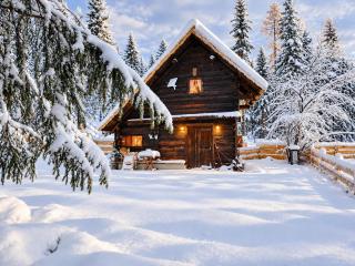 Urige Waldbienenhütte - 1