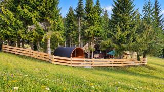 Urige Waldbienenhütte - 9