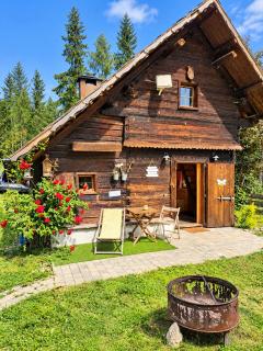 Urige Waldbienenhütte - 6