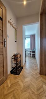 Zielone Okno Apartament w Augustowie blisko jeziora i centrum - 3