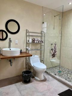 Planta Baja,p4,Pet friendly,10 minutos del centro - 1