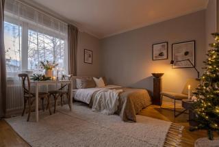 Bright Studio Apartment - 20 Min to City - 0