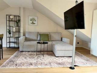NEU Design Apartment - Boxspringbett - 360 Grad Smart-TV - 7