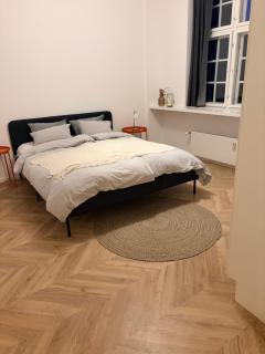 Eksklusiv 121 kvm lejlighed i hjertet af København - 7