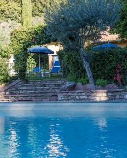 Tenuta La Bandita - Sassetta - 9