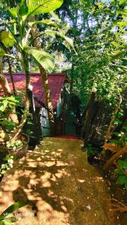 Misty Villa - 1