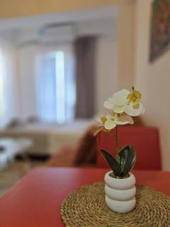 Balkan Escape Studio Steps from Lake Ohrid - 3