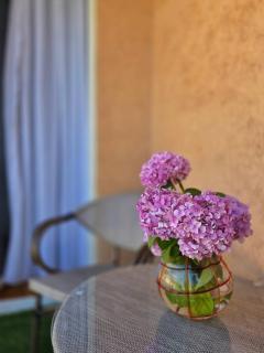 Balkan Escape Studio Steps from Lake Ohrid - 2