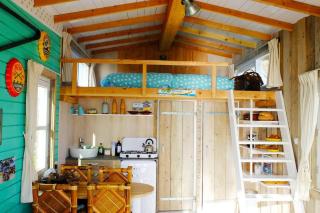 Tiny House Green Schoonhoven - 2