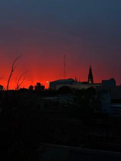 Vicente - 6