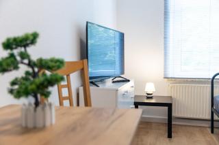 FLEX Aparts - große, möblierte 3-Raum Wohnung in Zwickau - 5