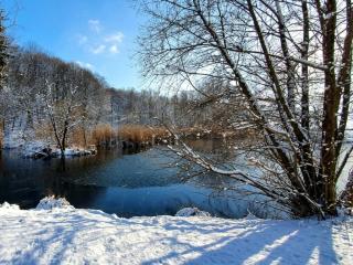 Wienerwaldblick - 9