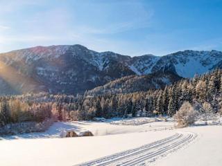 Wienerwaldblick - 5