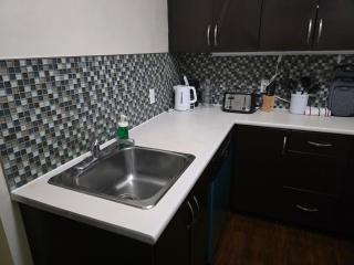 The Opal Unit - Large and Beautiful with Character - 2