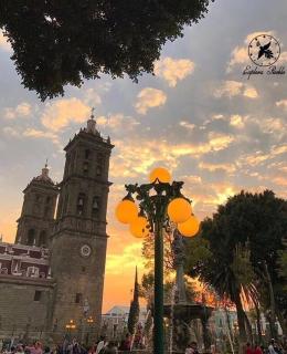 Zocalo SENSACIONAL - 5