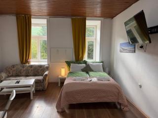 Cozy Danube Studios with Garden Access & 15 Min to Vienna Center - 0