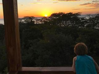 Casa Jaguarundi- Amazing secluded beach - 4