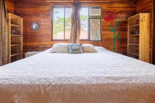 Casa Jaguarundi- Amazing secluded beach - 1