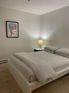 Beautiful house in Villeray - 1