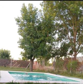 La cabaña de Matilda en Lujan - 5