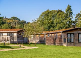 Cherry Bird Lodge Escape - 4