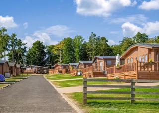 Percy Wood Country Park - 2
