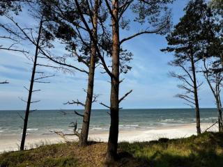 Comfortable holiday home with garden, 3 bedrooms - 4